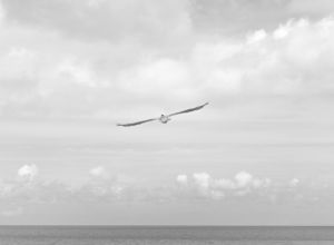 Dies ist ein Typoblindtext.